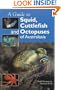 A Guide to Squid, Cuttlefish and Octopuses of Australasia