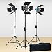 ePhoto 2400 Watt Tungsten Continuous Video Photo Studio Focusable Dimmable Barndoor Lighting Light Kit FL100R3