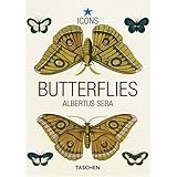 Butterflies (Icons)