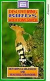 Review Fifth Avenue Films  / Discovering Birds - Movement And Migration and Beautiful Strangers