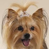Regal Rhinestone Tiara Barrette