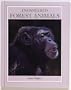 Endangered Forest Animals (Endangered Animals (Crabtree Hardcover))