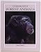 Endangered Forest Animals (Endangered Animals Series)