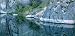 Quiet Lagoon - Rear Window Graphic 25 x 67