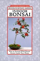 Indoor Bonsai: How to Succeed with Bonsai Grown Inside Your Home