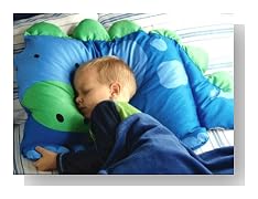 Doomagic Animal Pillow Case (Dylan the Dinosaur)
