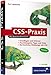 CSS-Praxis: Grundlagen und Referenz, Barrierefreiheit, CSS und AJAX (Galileo Computing)