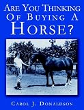 Are You Thinking Of Buying A Horse?