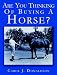 Are You Thinking Of Buying A Horse?