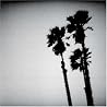 Image of album by Twilight Singers