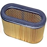 0D9723 - Generac Guardian air filter