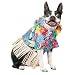 Tiki Dog (Boy) Costume (Medium)