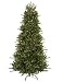 12' Pre-Lit Medium Vermont Fir Instant Shape Artificial Christmas Tree - Clear
