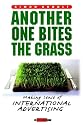 Another One Bites the Grass: Creating International Ad Campaigns That Make Sense (Adweek Book)