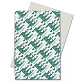 Wausau Paper Colored Multipurpose Paper - 500-Sheets - Green - 11 x 17-Inch 62403