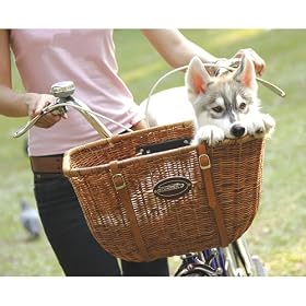 Rattan Wicker Pet Cruiser