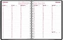 Brownline Weekly Planner for 2010 Twin-Wire, Black, 11 x 8.5 Inches (CB950.BLK)
