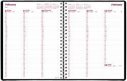 Brownline Weekly Planner for 2010 Twin-Wire, Black, 11 x 8.5 Inches (CB950.BLK)