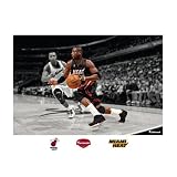 NBA Miami Heat Dwyane Wade Mural Wall Graphic