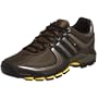 adidas Men's Terrex Low Trail Running Shoe