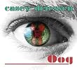 Oog