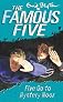 Five Go to Mystery Moor
