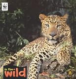 Leopards (In the Wild)