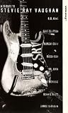 A Tribute To Stevie Ray Vaughan [UK IMPORT] - B.B. King