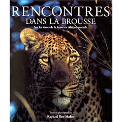Rencontres dans la brousse