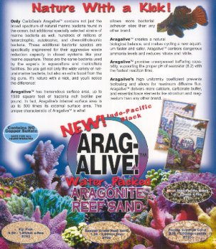 Buy Carib Sea Arag – Alive Saltwater Bahamas Oolite 20 lb