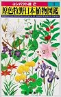 原色牧野日本植物図鑑〈2〉 (コンパクト版)