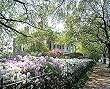 Springtime in Natchez Photograph - Beautiful 16"x20" Photographic Print by Carol M. Highsmith