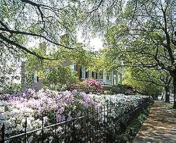Springtime in Natchez Photograph - Beautiful 16"x20" Photographic Print by Carol M. Highsmith