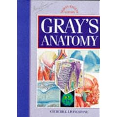 Gray's Anatomy : The Anatomical Basis of Medicine and Surgery (British Edition. 38th Ed): Anatomical Basis of Medicine and Surgery (Gray's Anatomy)