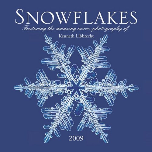 Snowflakes 2009 Calendar (Calendar)