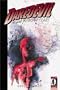 Daredevil Vol. 3: Wake Up