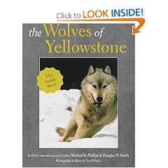 The Wolves of Yellowstone (Wildlife)