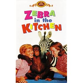 Zebra in the Kitchen [VHS]