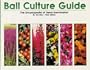 Ball Culture Guide