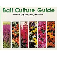 Ball Culture Guide