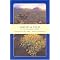Visit Zion National Park and The Desert Southwest