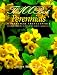 Book The 100 Best Perennials : A Practical Encyclopedia