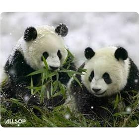 Click here to buy Nature's Smart Mouse Pad with Recycled Materials and Panda Print (29879) by Allsop.