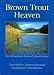 Brown Trout Heaven: Fly-fishing New Zealand's South Island