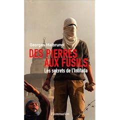 Des pierres aux fusils : Les Secrets de l'Intifada