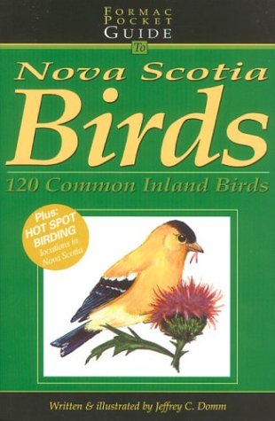 Birding