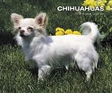 Chihuahuas 2007 Calendar