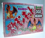 Pokemon Wind-up Model Kit - Charzard