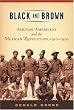Black and Brown: African Americans and the Mexican Revolution, 1910-1920 (American History and Culture Series)