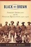 Black and Brown: African Americans and the Mexican Revolution, 1910-1920 (American History and Culture Series)